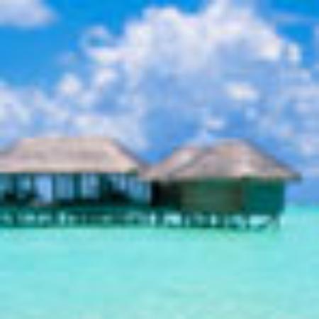 Bambú bar